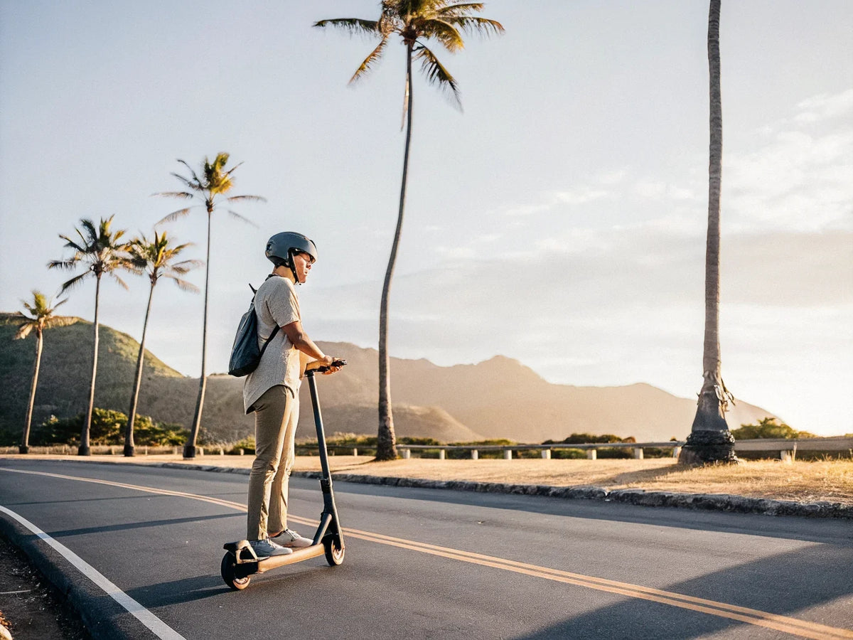 Homme casqué avec sac à dos sur une trottinette électrique, route bordée de palmiers au coucher du soleil