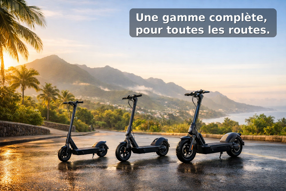 Trottinettes électriques Segway Ninebot à La Réunion : notre gamme complète