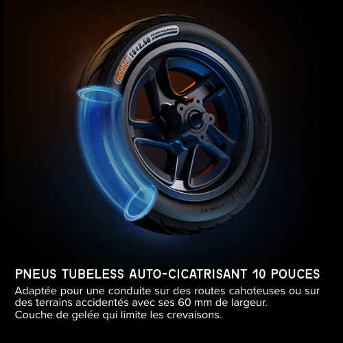 Ninebot by Segway 051203EE trottinette électrique Rouge 20 km/h