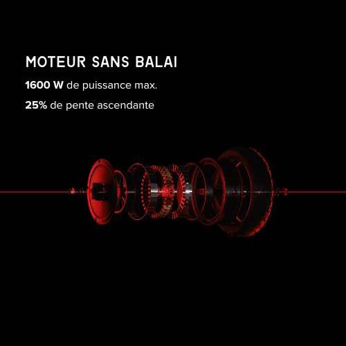 SEGWAY Ninebot ZT3 Pro E